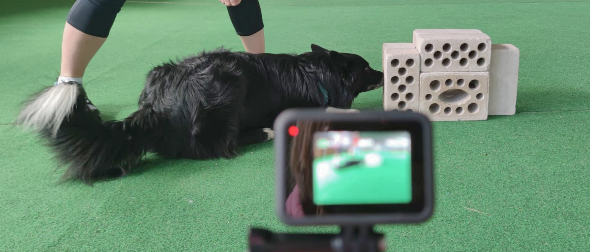 Kostenlose Trainingsressourcen Zielobjektsuche