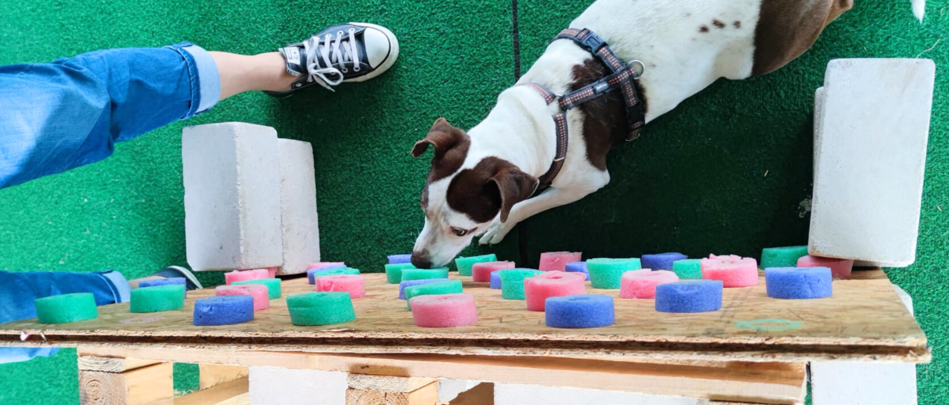 Kostenlose Trainingsressourcen Zielobjektsuche